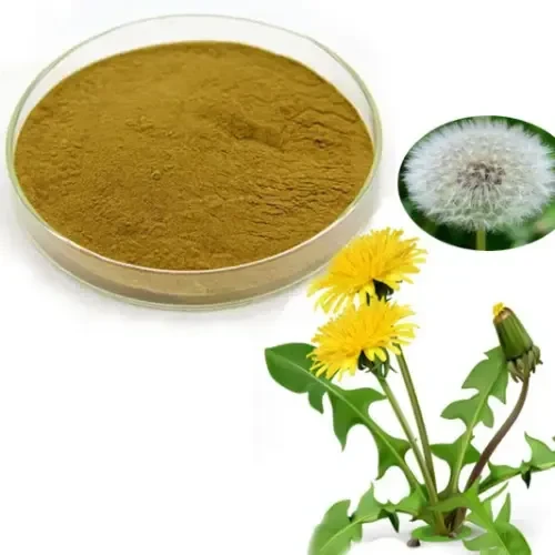 Dandelion extract